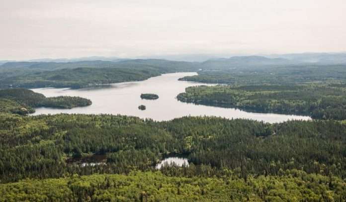 Une superbe vue aérienne du lac Otis