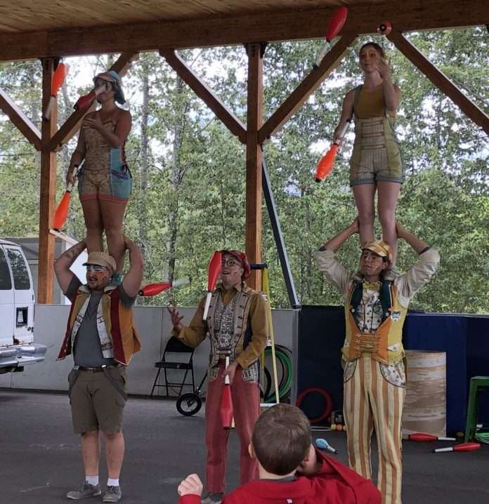 Les Fous du roi