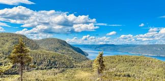 Point de vue sur le marais et sur le fjord du Saguenay.