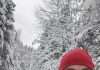Homme avec une tuque dans la forêt lde Petit-Saguenay