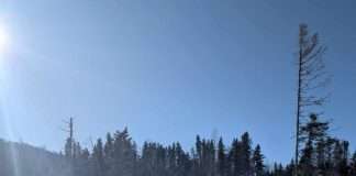 skieurs de fond sur pistes damées