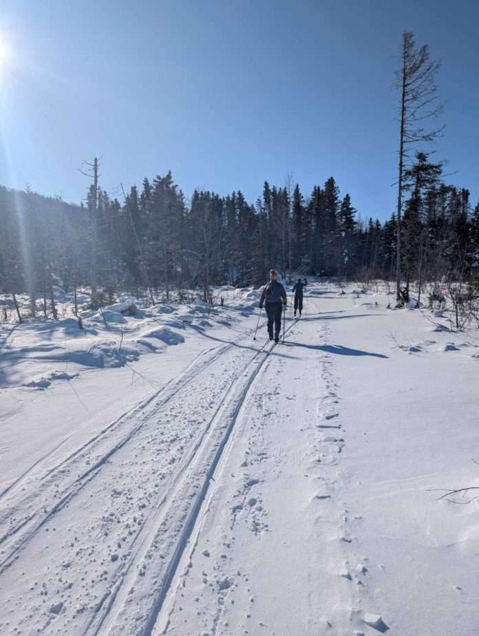skieurs de fond sur pistes damées