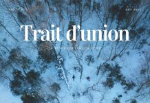 Une photo de drone au-dessus de skieurs dans une forêt.