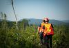 Travailleurs forestiers en action