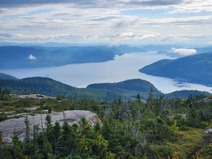 Photo 3_Montagne Blanche, premier amour de trail au Bas-Saguenay pour Carly
